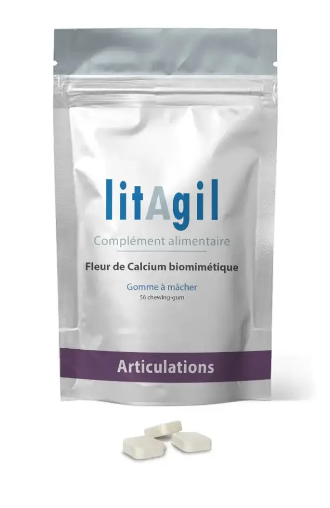 LitAgil Articulations